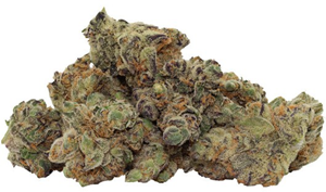 Pistol and Paris: Blackberry Breath Smalls LTO (3.5g)