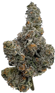 Amani Craft Cannabis: Gastro Pop (7g)