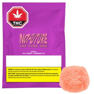 No Future: The Pink One Sativa Gummy (1 pcs)