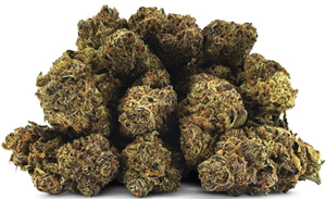 BC OZ: Pina Colada (28g)