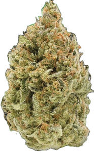 Simply Bare: BC Organic Fruit Loopz (3.5g)